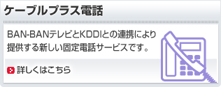 ケーブルプラス電話